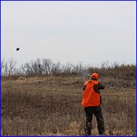 hunter4.JPG
